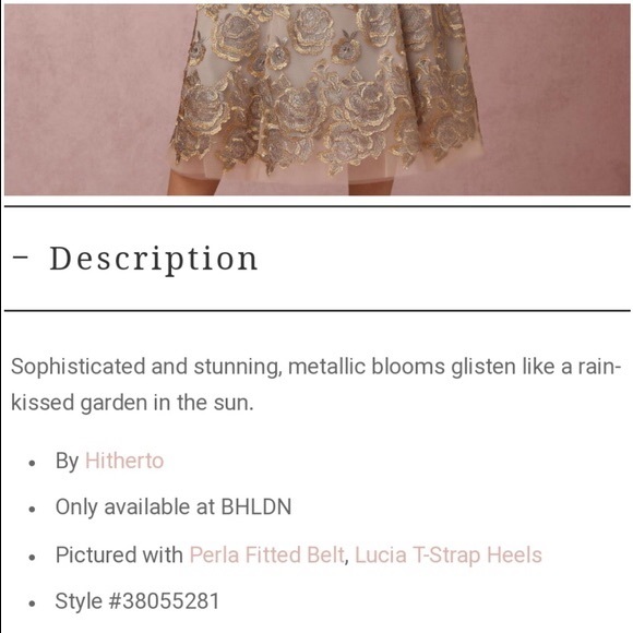 Anthropologie BHLDN Eleanor Silver and Gold Dress - Picture 5 of 10